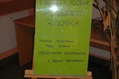 001-plony-010-jpg-1411752692